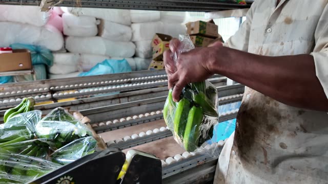 Worker Bagging Banana Hands For Sealing