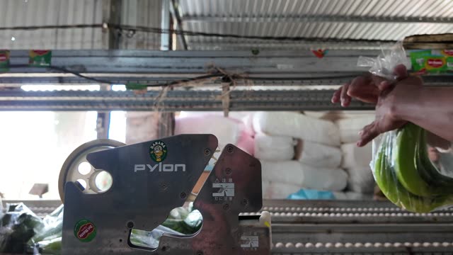 Woman Sorting Bananas By Warehouse Shelf