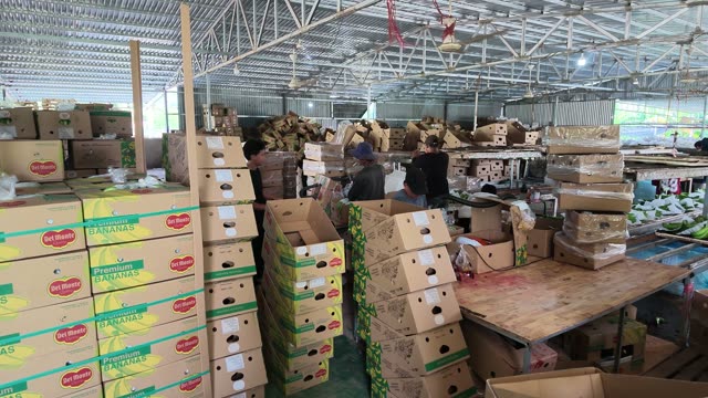 Warehouse Full Of Banana Boxes