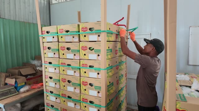 Worker Strapping Banana Box Stack