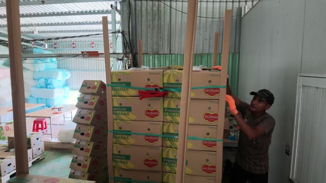 Worker Strapping Premium Banana Boxes