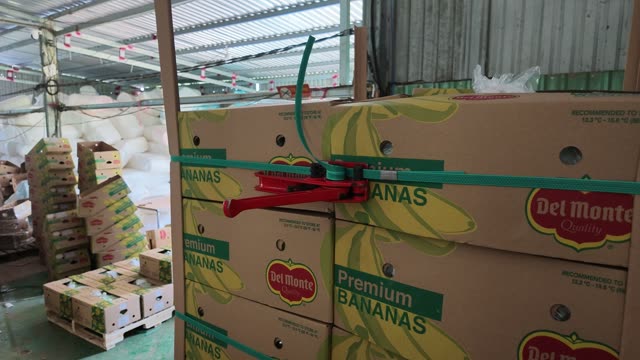 Strapped Premium Banana Boxes Ready