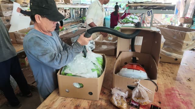 Worker Vacuum Sealing Banana Box