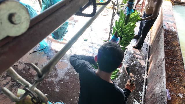 Worker Passing Bananas To Coworker