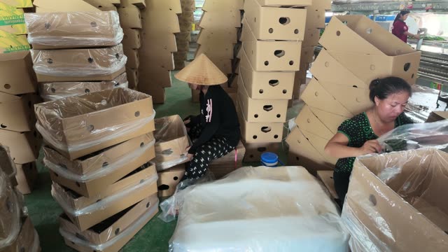 Women Folding Boxes Amid Foam Padding