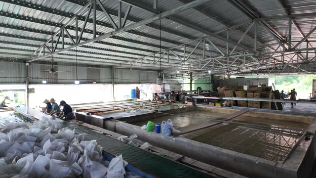 Workers Near Wash Pool With Buckets