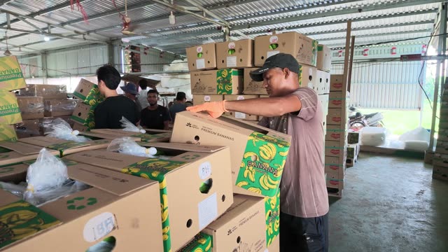 Worker Carrying Stack Of Boxes