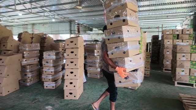 Workers Assembling Boxes Between Stacks