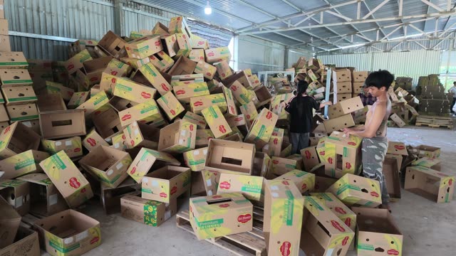 Workers Sorting Fallen Boxes In Warehouse