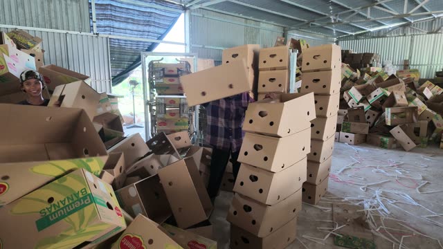 Stacked Premium Banana Boxes Ready