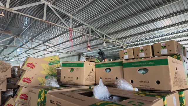 Workers Sorting Piles Of Fallen Boxes