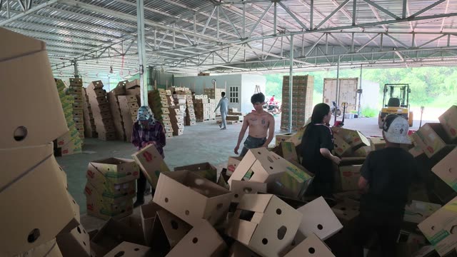 Woman Stacking Boxes On Shelf