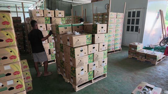 Worker Stacking Boxes By Warehouse Door