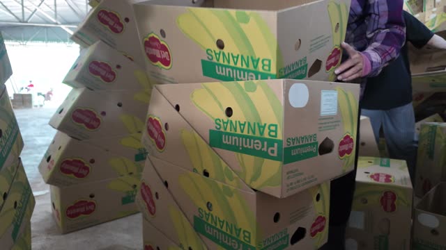 Worker Reaching For Premium Banana Box