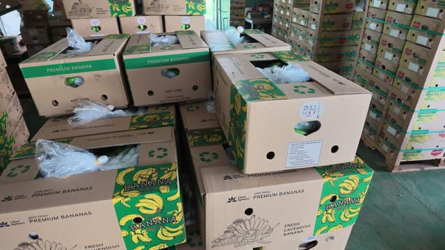 Stacked Premium Banana Boxes In Warehouse
