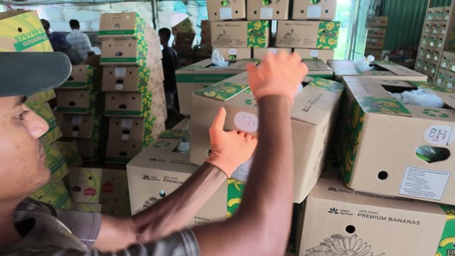 Worker Sorting Boxes On High Shelf