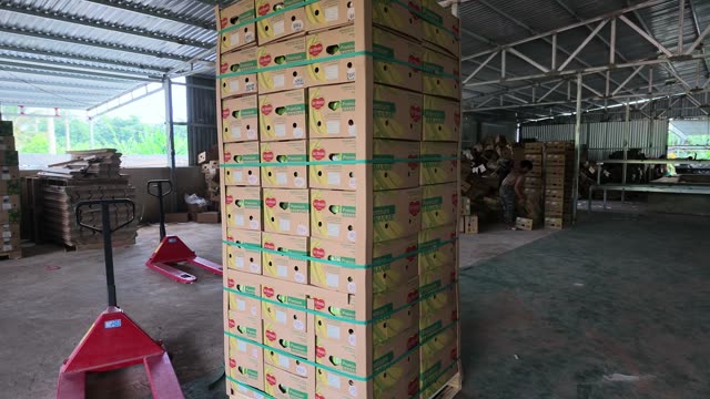 Pallet Jack Beside Stacked Banana Boxes