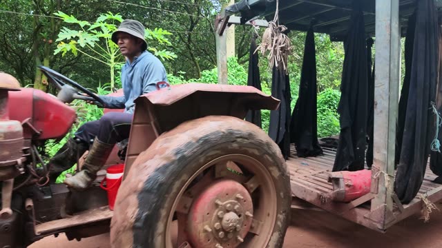 Farmer Driving Tractor With Bag Trailer
