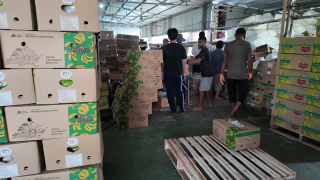 Warehouse View With Stacked Banana Boxes