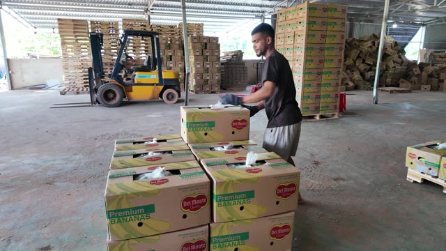 Worker Packing Boxes Near Forklift