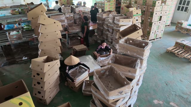 Workers Assembling Boxes In Warehouse