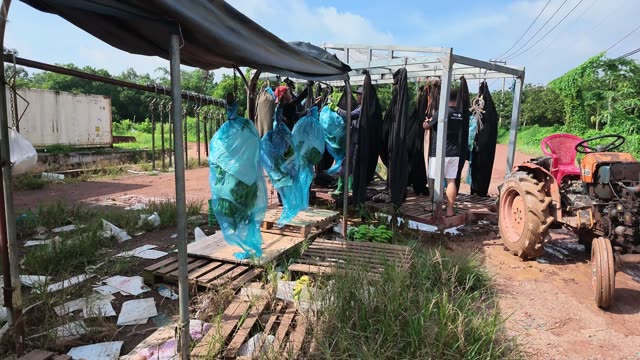 Shelter With Hanging Bags And Tractor