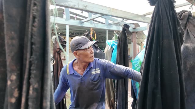 Worker Carrying Banana Bunch With Hook