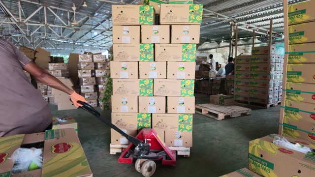 Worker Pulling Pallet Jack With Banana Boxes