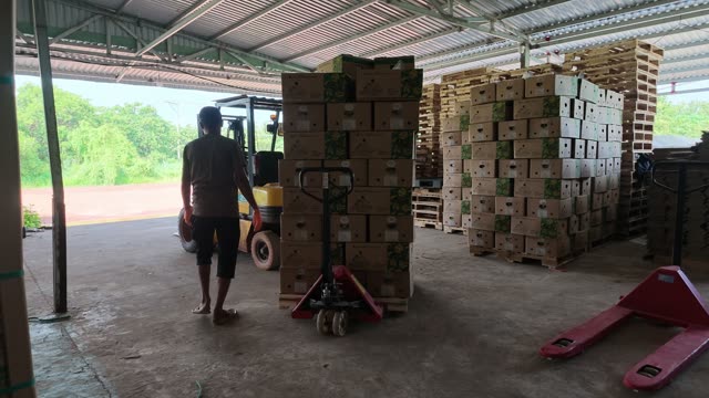 Worker Pulling Loaded Pallet Jack