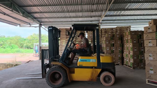 Man Driving Forklift In Warehouse
