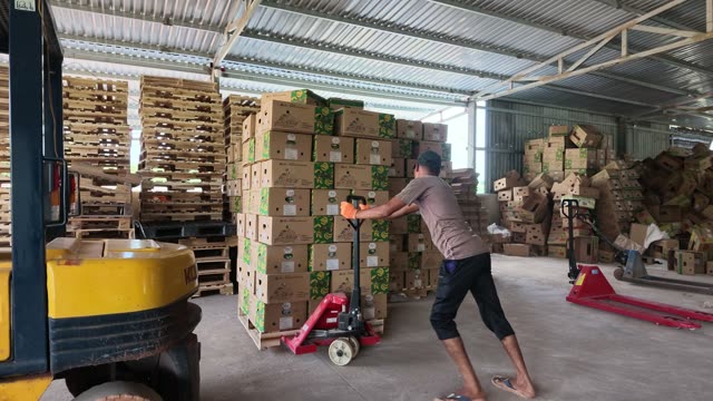 Worker Pushing Boxes On Pallet Jack