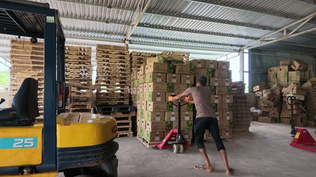 Worker Moving Stacked Boxes By Jack