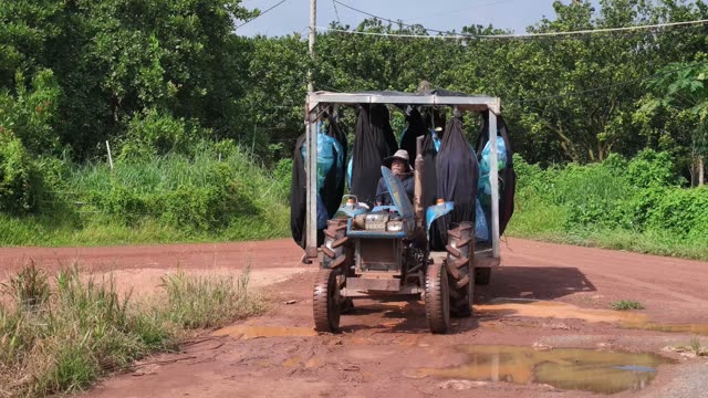 Tractor Approaching With Loaded Bag Trailer
