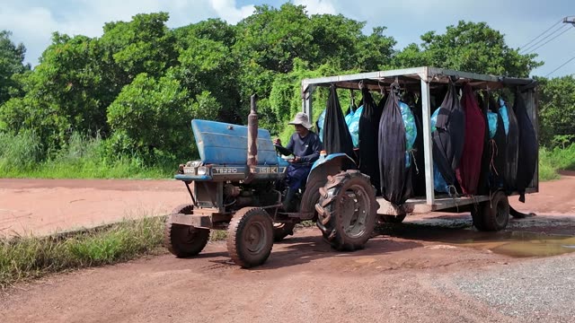 Worker Riding Tractor Along Farm Road