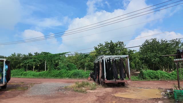 Wide View Of Bunch Bag Shelter