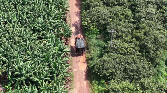 Tractor By Banana Plantation