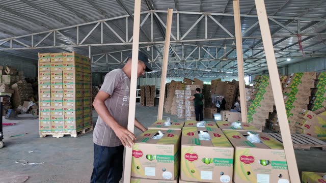 Worker Handling Stacked Del Monte Boxes