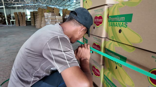 Close-Up Of Worker Strapping Banana Boxes
