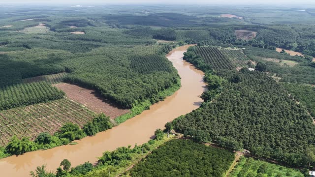 River Snakes Through Plantations