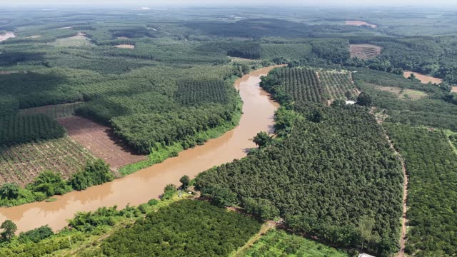 Curving River Farmland View