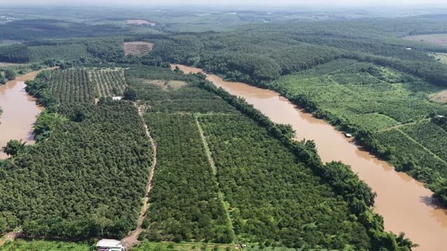 River Splits Plantation Land