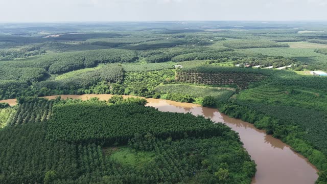 Muddy River Winding Through Farmland
