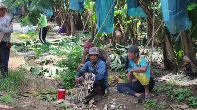 Workers Resting And Coiling Rope