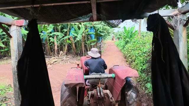 Worker Driving Tractor Under Shelter Frame