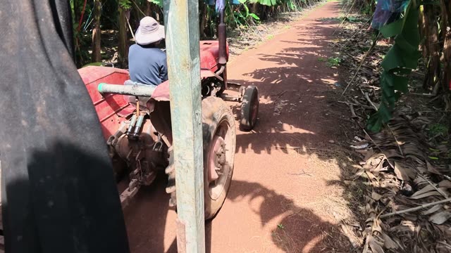 Worker Driving Red Tractor Along Path