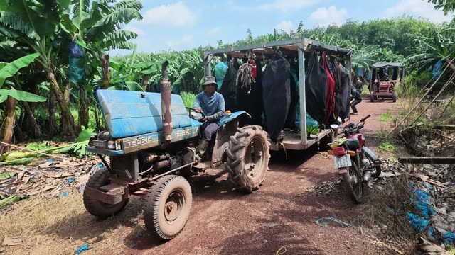 Worker Driving Tractor Past Parked Motorbike