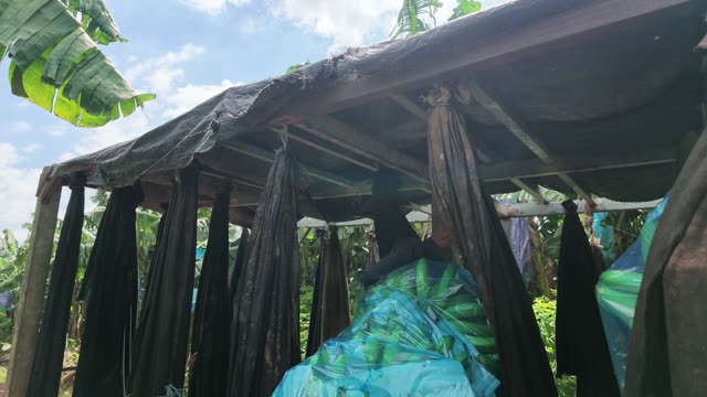 Black Sleeves Hanging On Trailer