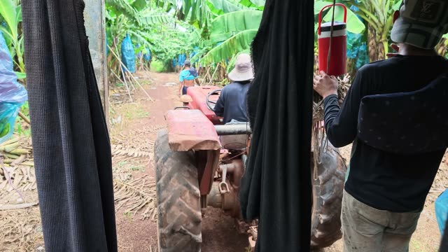 Worker Driving Tractor Under Shelter Frame