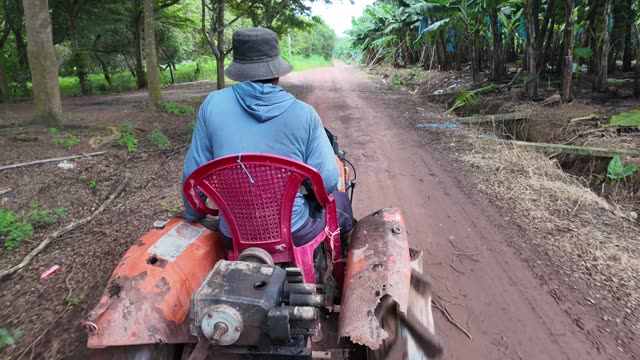 Tractor Driving Through Plantation