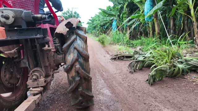 Tractor Wheel On Muddy Path